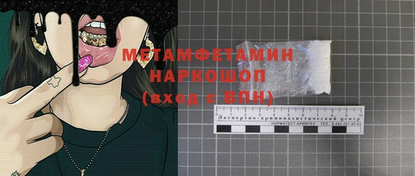индика Богданович