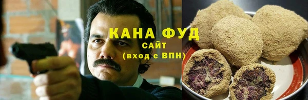 индика Богданович