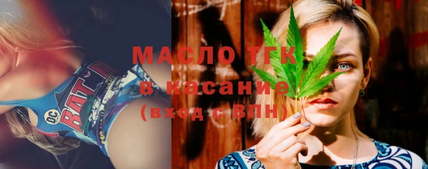 индика Богданович