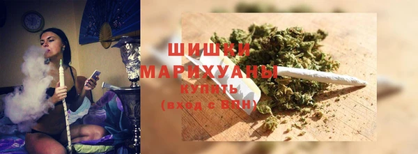 PSILOCYBIN Бородино