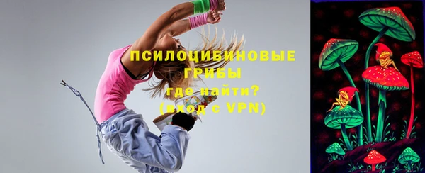 эйфоретик Богородицк