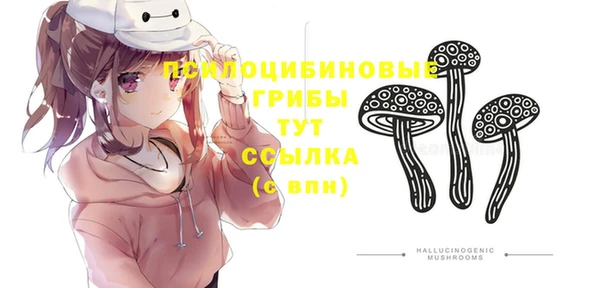 прущий лед Бугульма