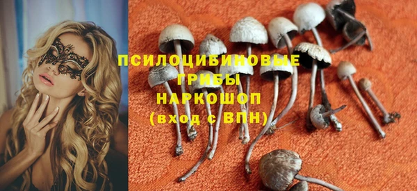 прущий лед Бугульма