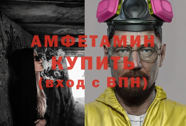 индика Богданович