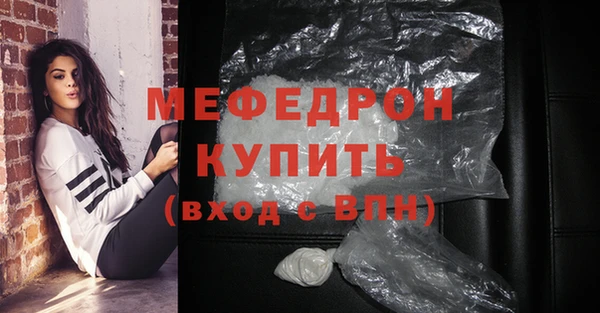 индика Богданович