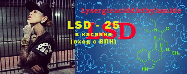 PSILOCYBIN Бородино