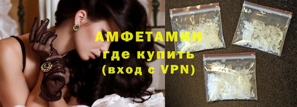 индика Богданович