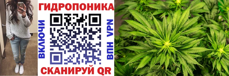 Бошки Шишки VHQ  Купить закладки  Тобольск 